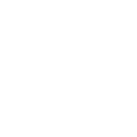 /SinglotFestival